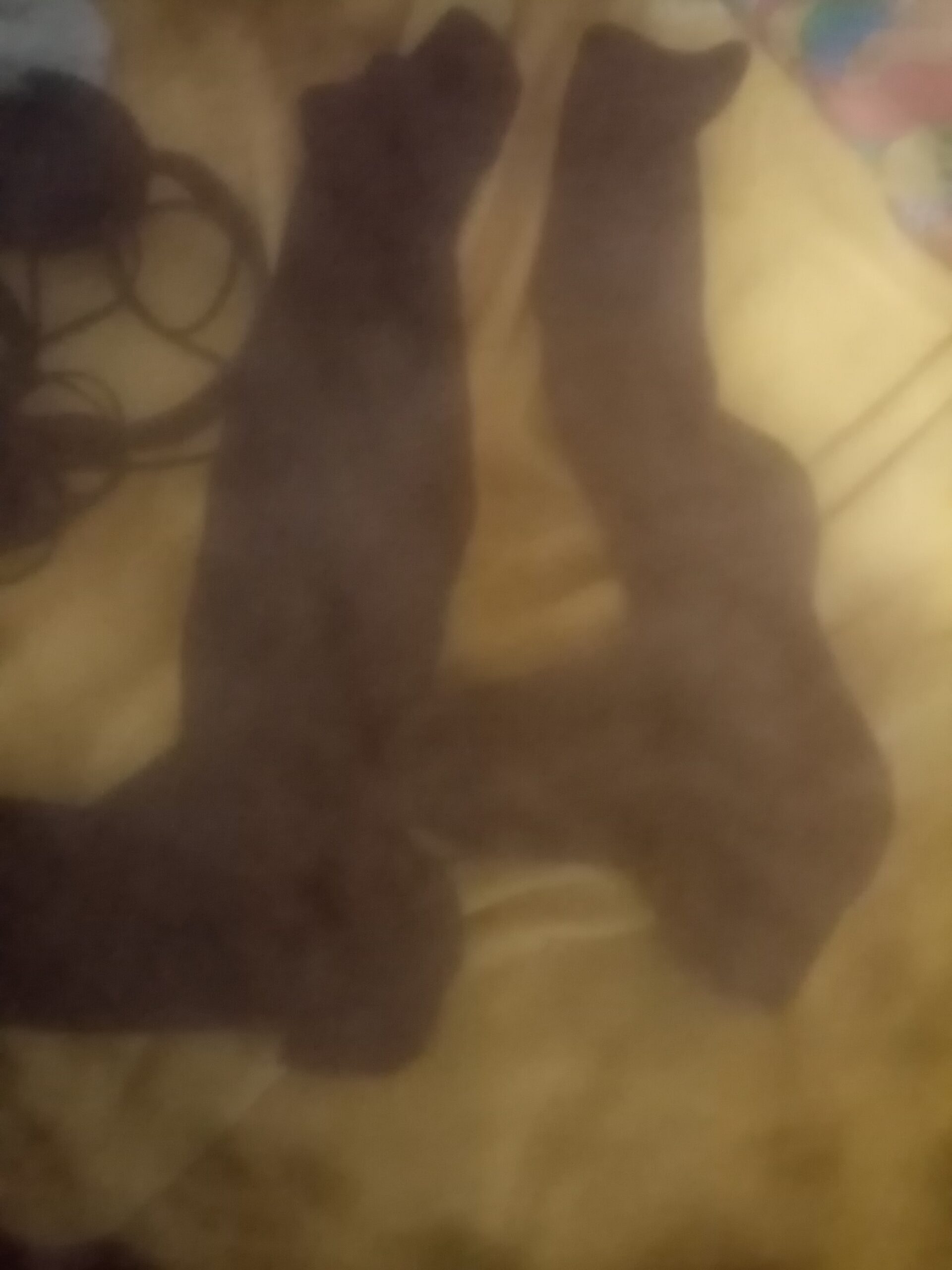 Vând cizme lungi de mătase