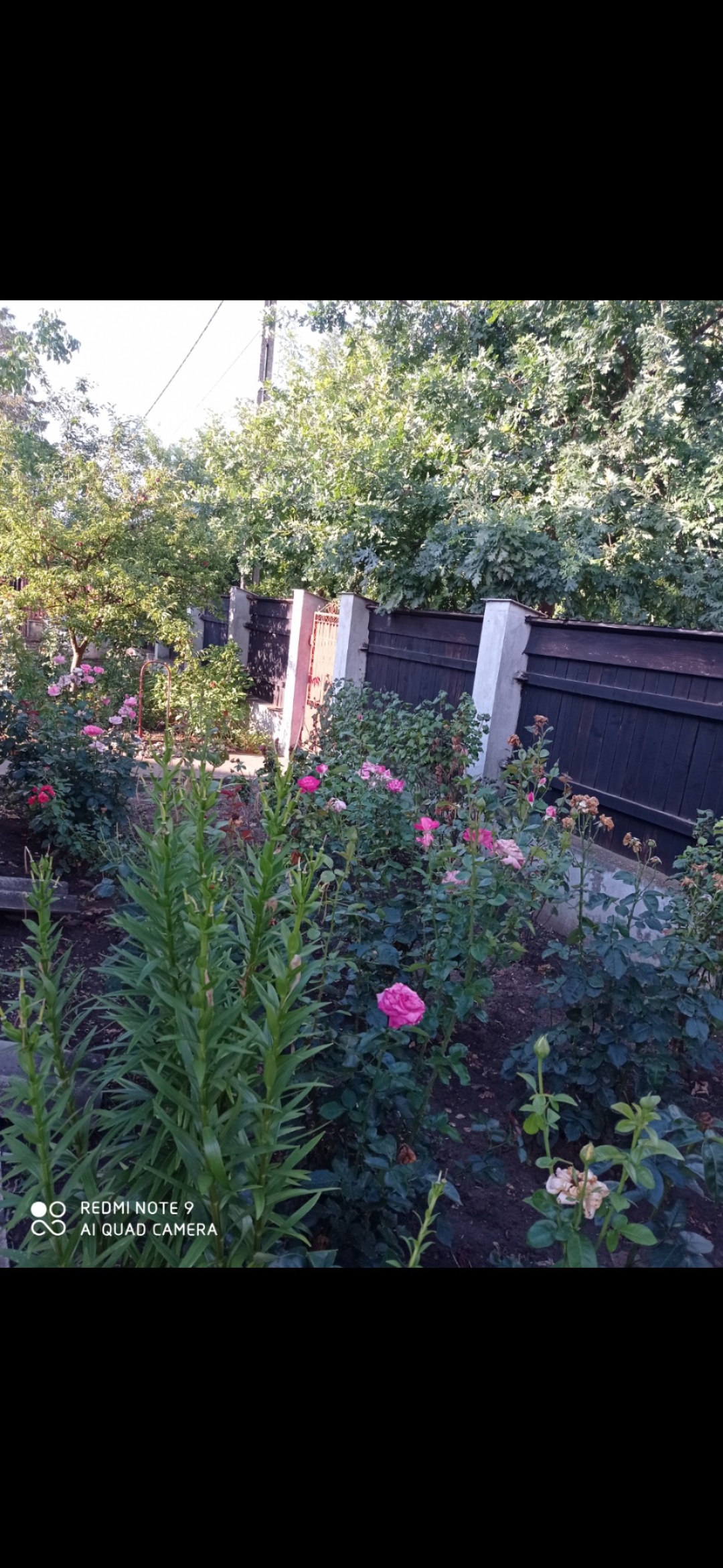 Casă de vânzare în Jilavele Ialomița