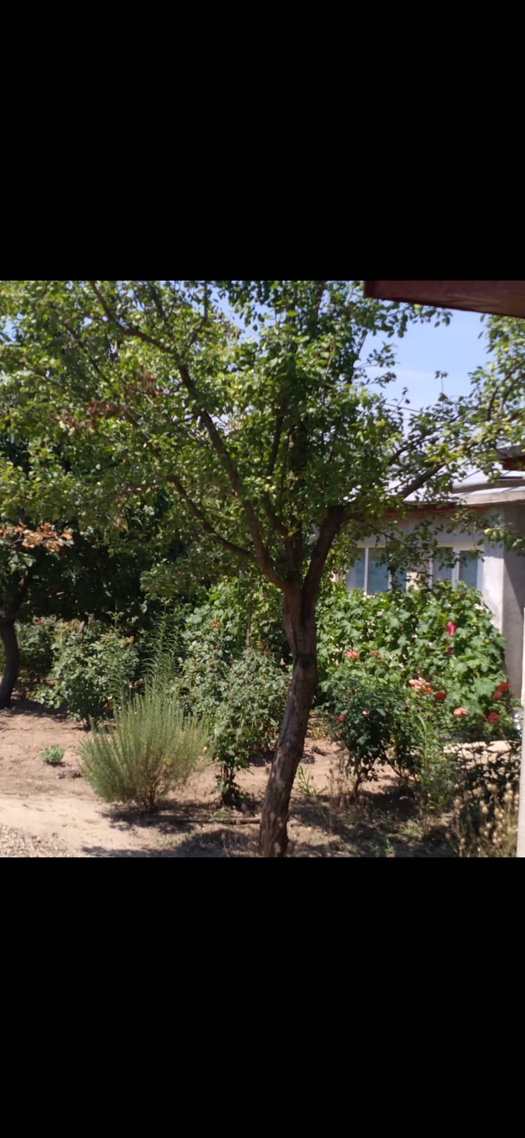 Casă de vânzare în Jilavele Ialomița