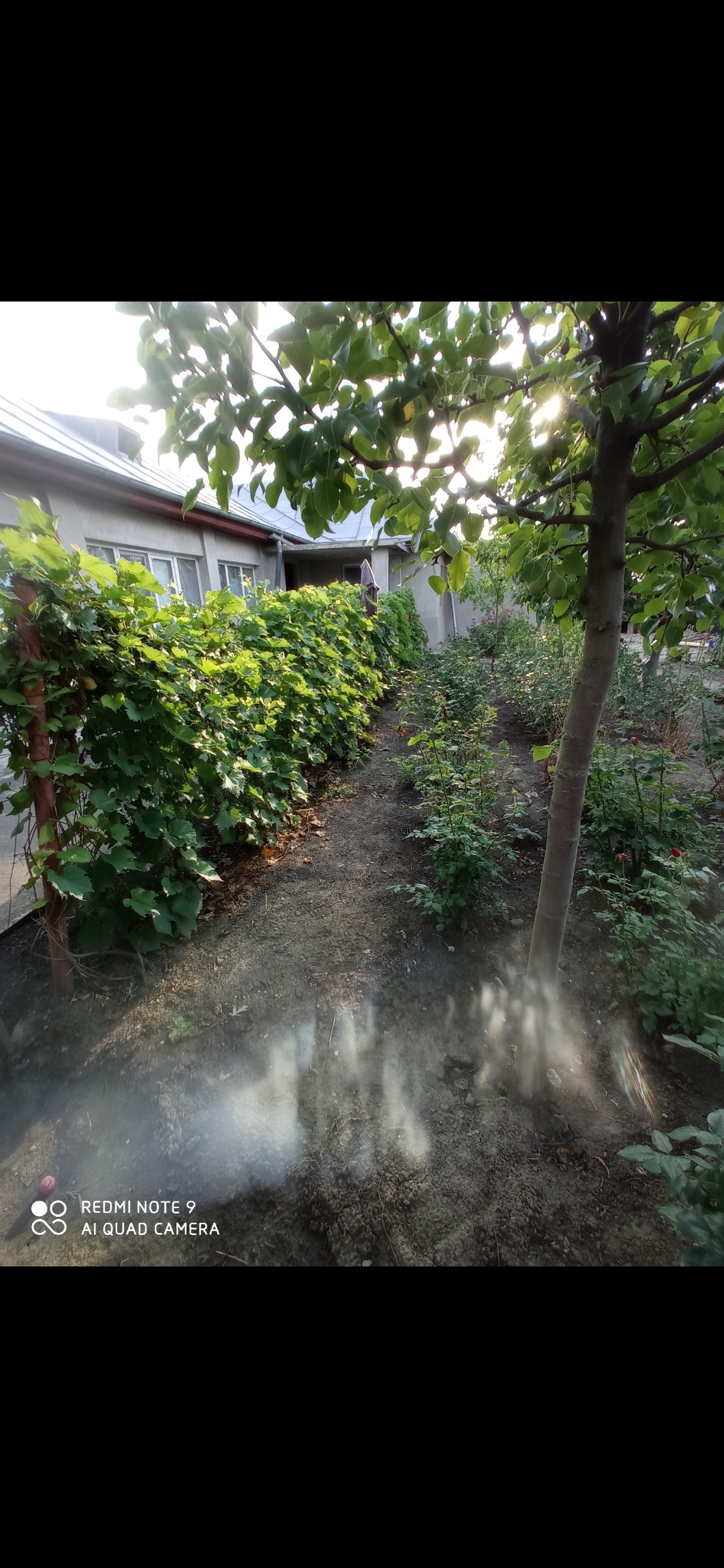 Casă de vânzare în Jilavele Ialomița