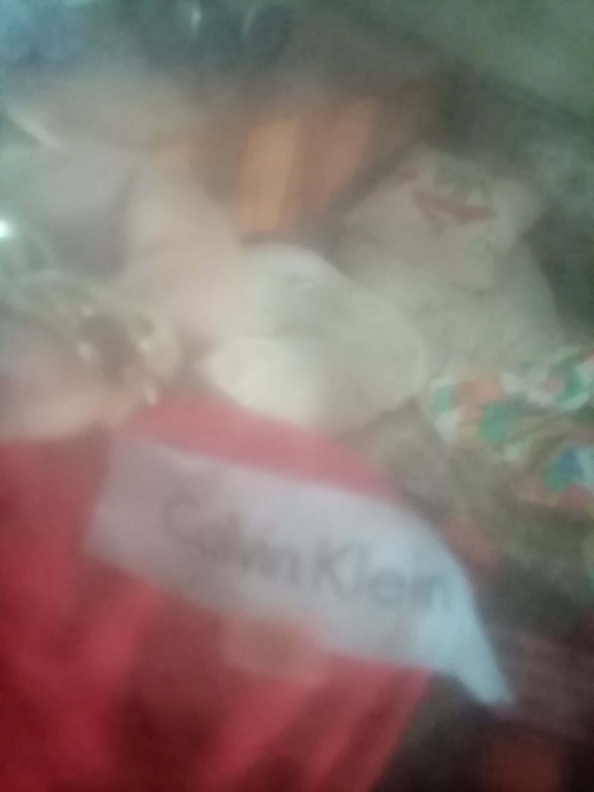 Vând rochițe deosebite unui magazin de haine