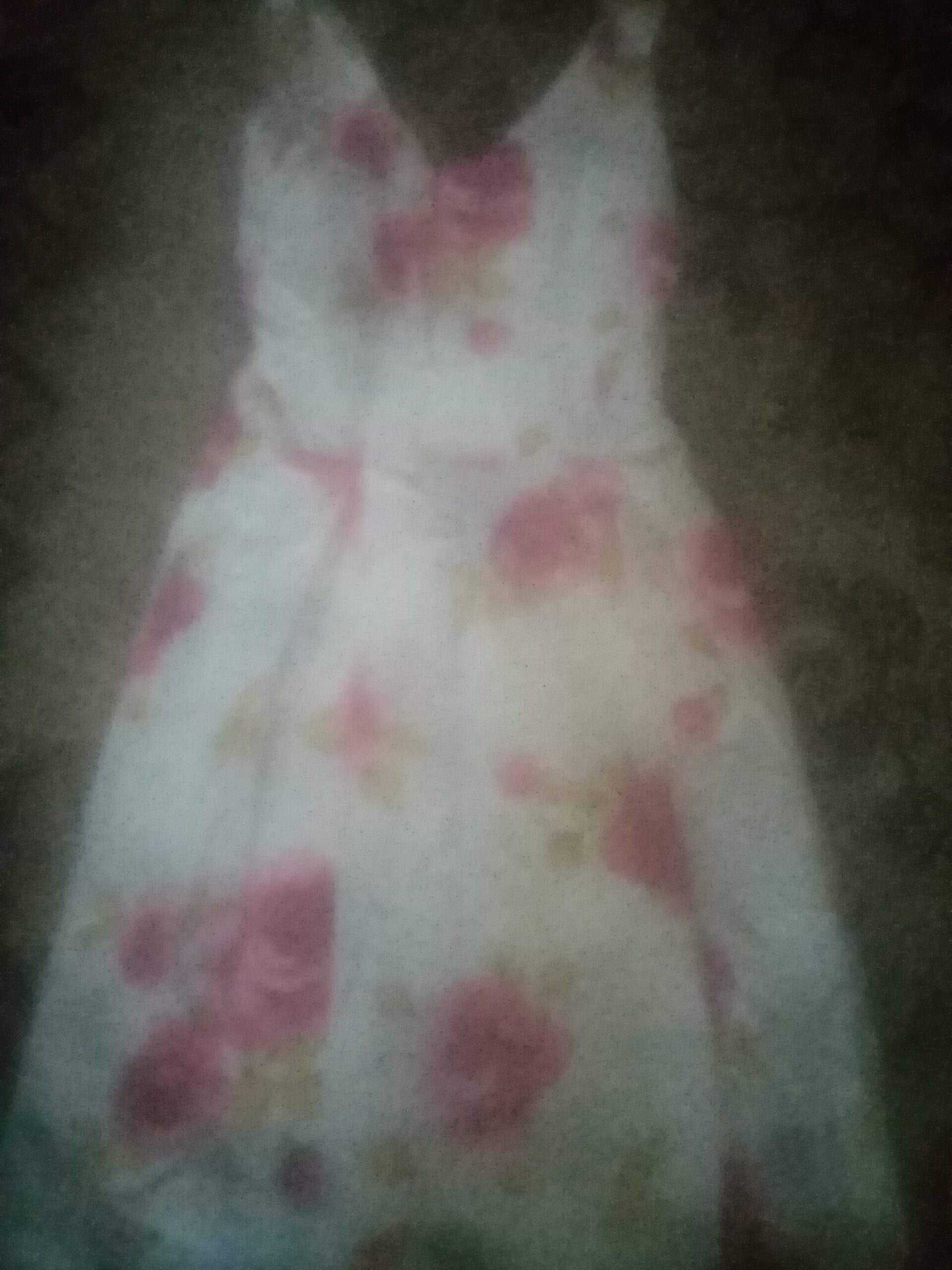 Vând rochiță cu flori deosebita