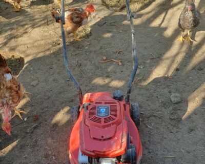 inbound7881909517525891718